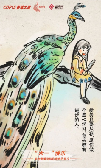 宝贝们，云南“萌宠”的祝福，请查收