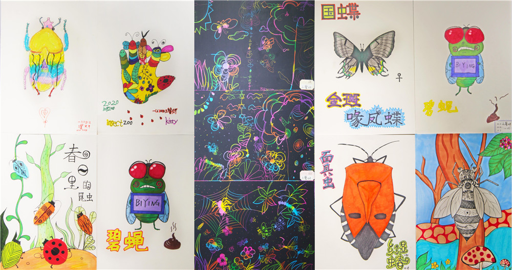 迎接党的百岁生日 西北农林科技大学博览园首届儿童昆虫画展