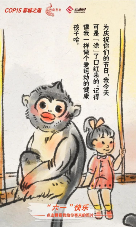 宝贝们，云南“萌宠”的祝福，请查收