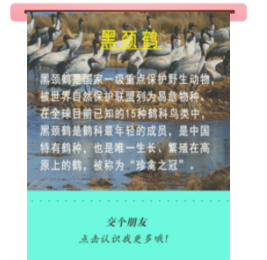 宝贝们，云南“萌宠”的祝福，请查收