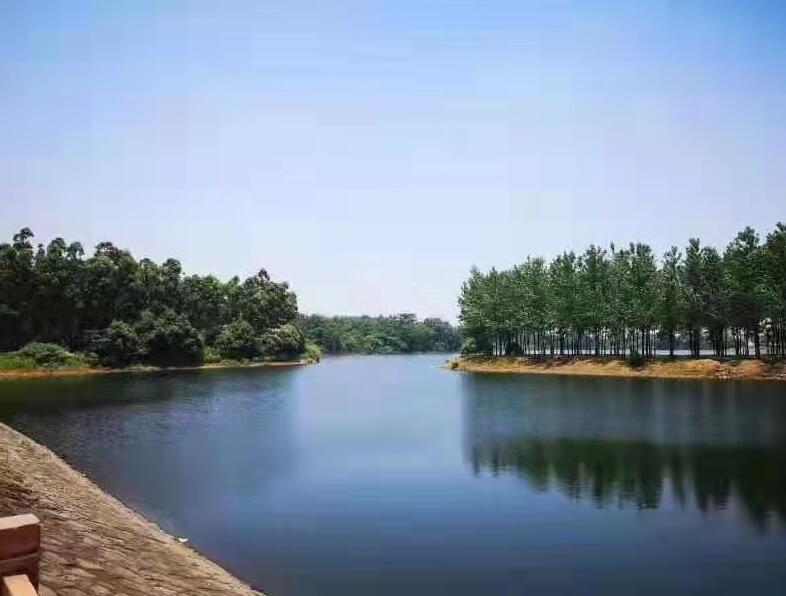 江西晨鸣:绿色造纸 扛起造纸企业的环保担当与作为