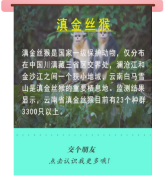 宝贝们，云南“萌宠”的祝福，请查收