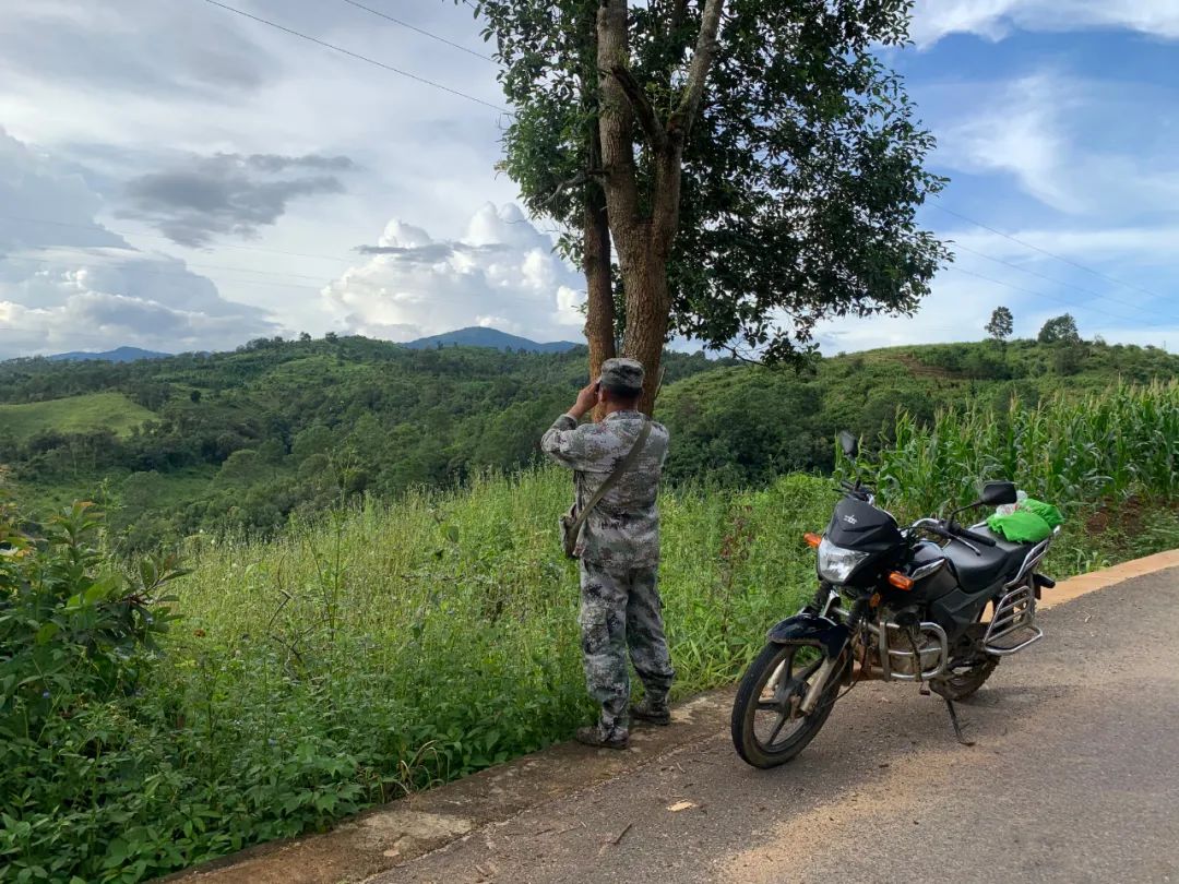 监测员赵平在寻找亚洲象