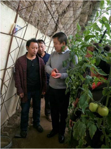 沈阳市辽中区卡北村党支部 | 顺民意 谋振兴