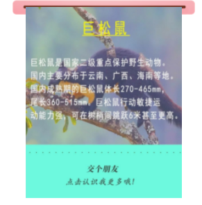 宝贝们，云南“萌宠”的祝福，请查收