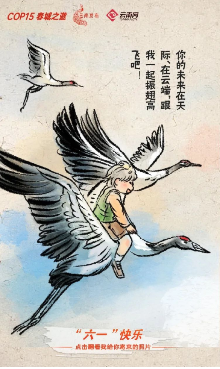 宝贝们，云南“萌宠”的祝福，请查收