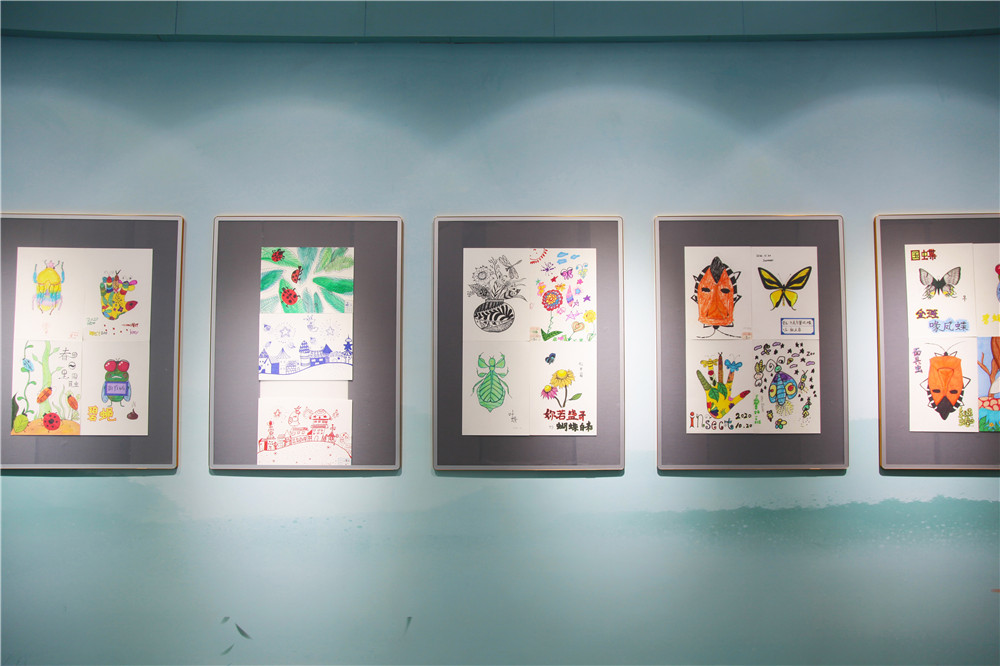 迎接党的百岁生日 西北农林科技大学博览园首届儿童昆虫画展