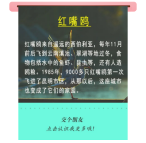 宝贝们，云南“萌宠”的祝福，请查收