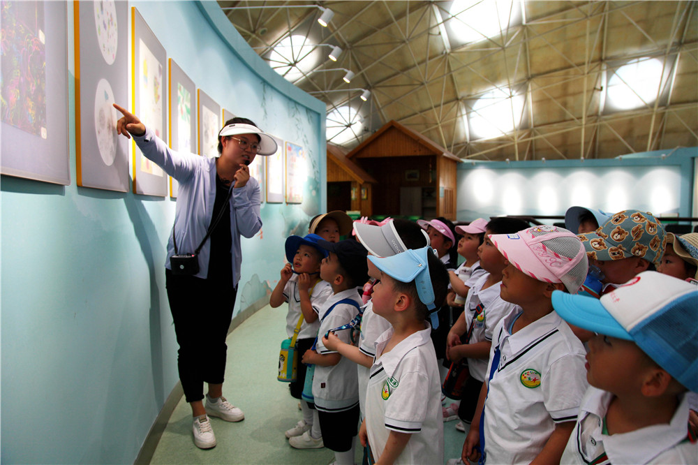 迎接党的百岁生日 西北农林科技大学博览园首届儿童昆虫画展