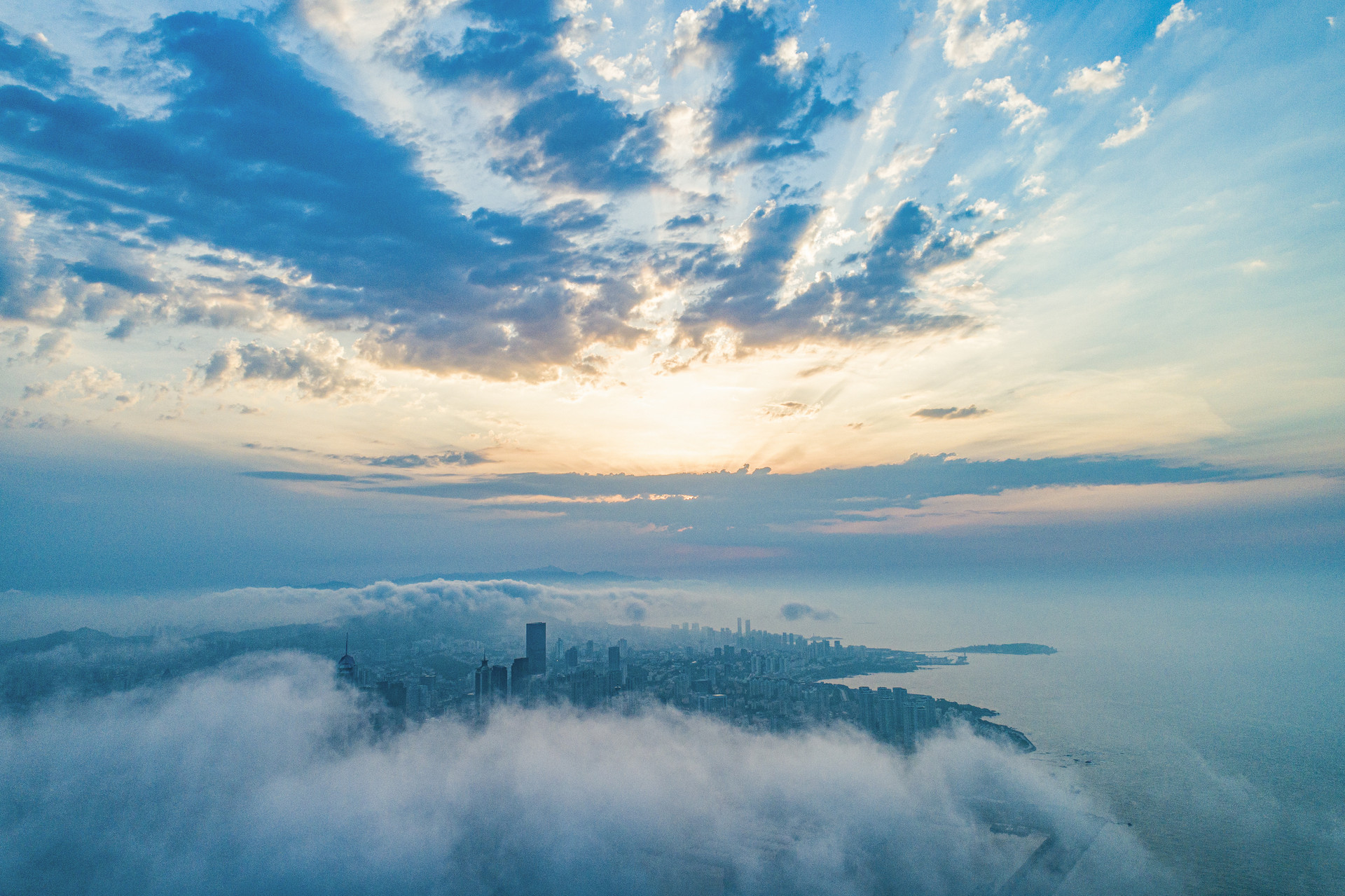 聚焦主责主业 围绕平度特色产业链推进集群发展