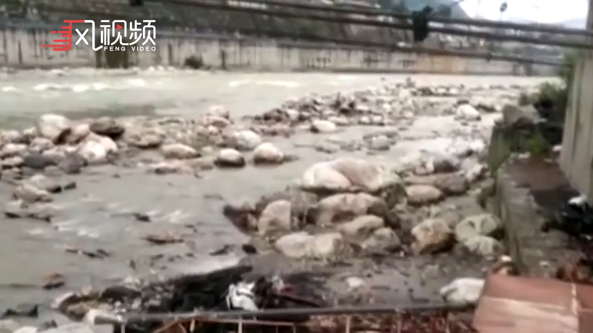 印度流浪狗河边啃食人类遗体，当地村民担心新冠病毒传播