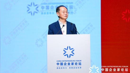 亚布力中国企业家论坛轮值主席、多点Dmall董事长、物美集团创始人张文中