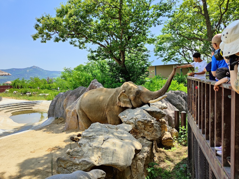 汉服游园、国潮快闪、夜间游玩、投壶射箭,小珠山景区首届端午汉服节即将开启!