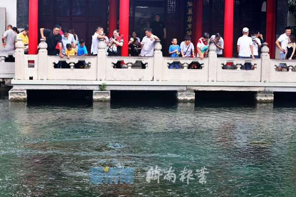 103A20F40E4C29110E37050BBB11B51731D0EB18_size244_w600_h400.jpg