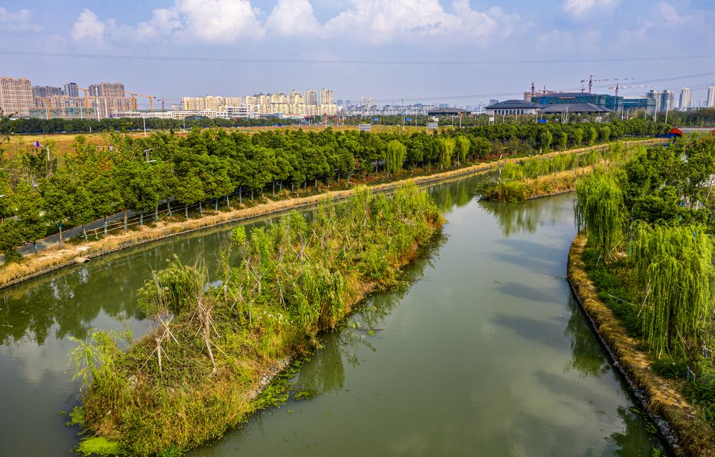 常州皇粮浜湿地公园图片