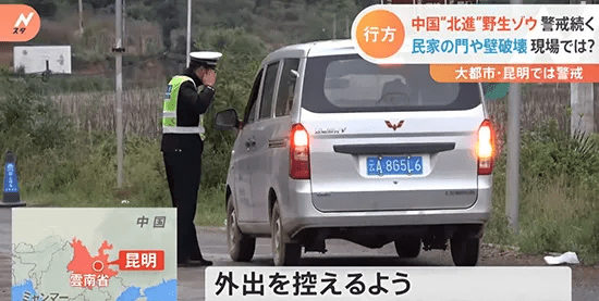 西方主流媒体集体围观 大象去哪儿 这波报道和评论都相当 稳 凤凰网