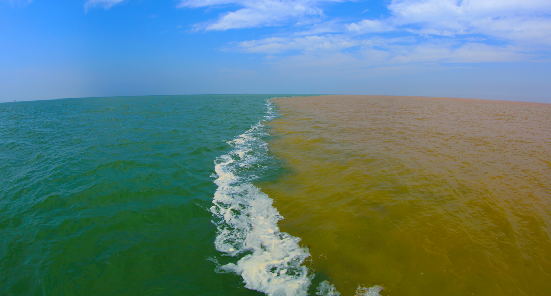 图/黄河三角洲湿地