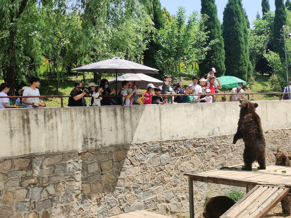 汉服游园、国潮快闪、夜间游玩、投壶射箭,小珠山景区首届端午汉服节即将开启!
