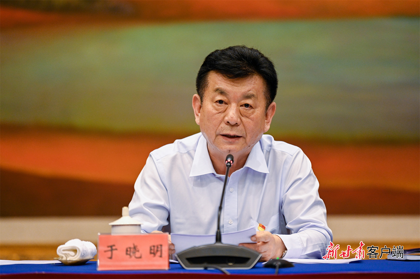 学史力行促发展！甘肃党史学习教育情况汇报会召开