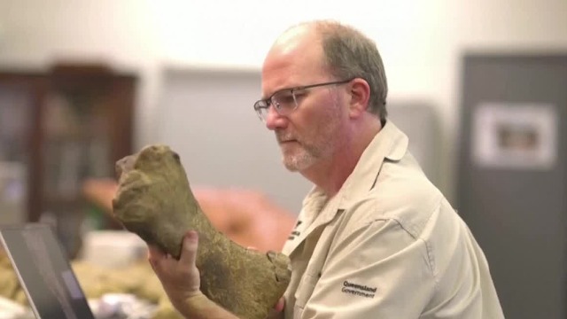 澳大利亚史上最大恐龙出土 身长30米超过一个篮球场