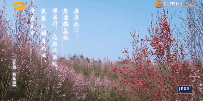 △自带仙气滤镜的白麟洲村 / 《向往的生活》
