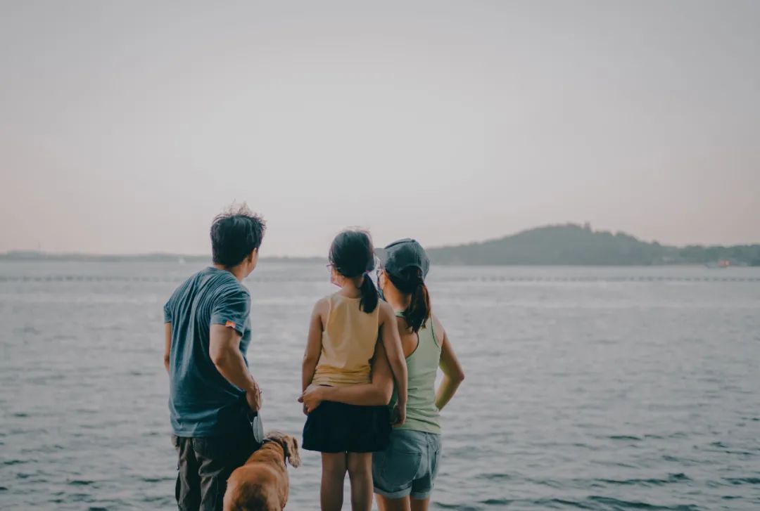 图片：Unsplash@Albert Vincent Wu