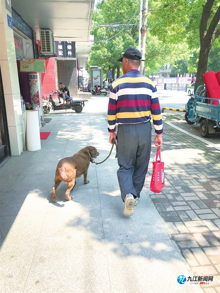 《动物防疫法》实施一个月 九江多数居民力挺牵绳遛犬新规