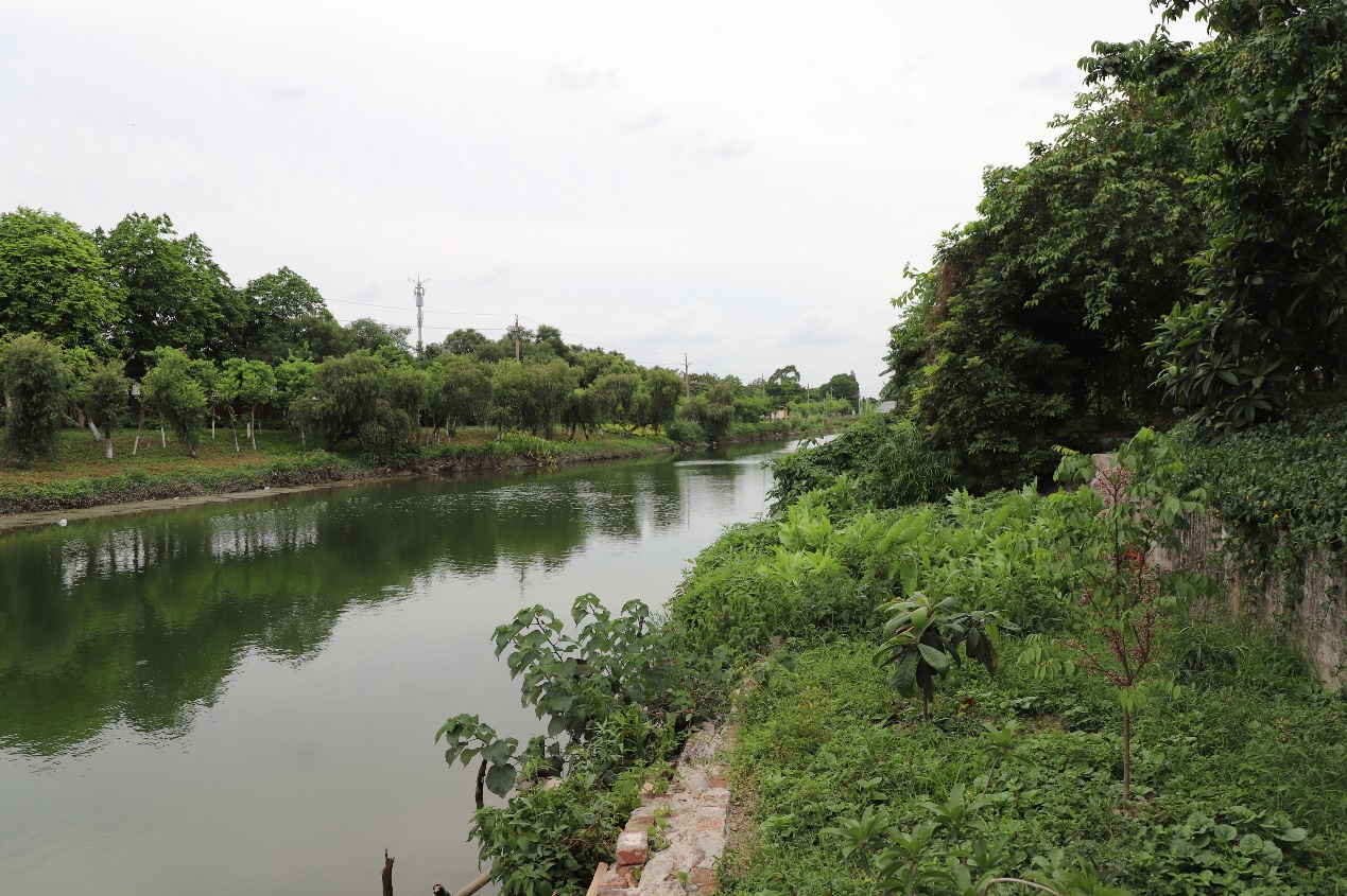 龙溪沙溪龙舟景 ——记荔湾龙溪传统岭南文化 ——凤凰网房产广州