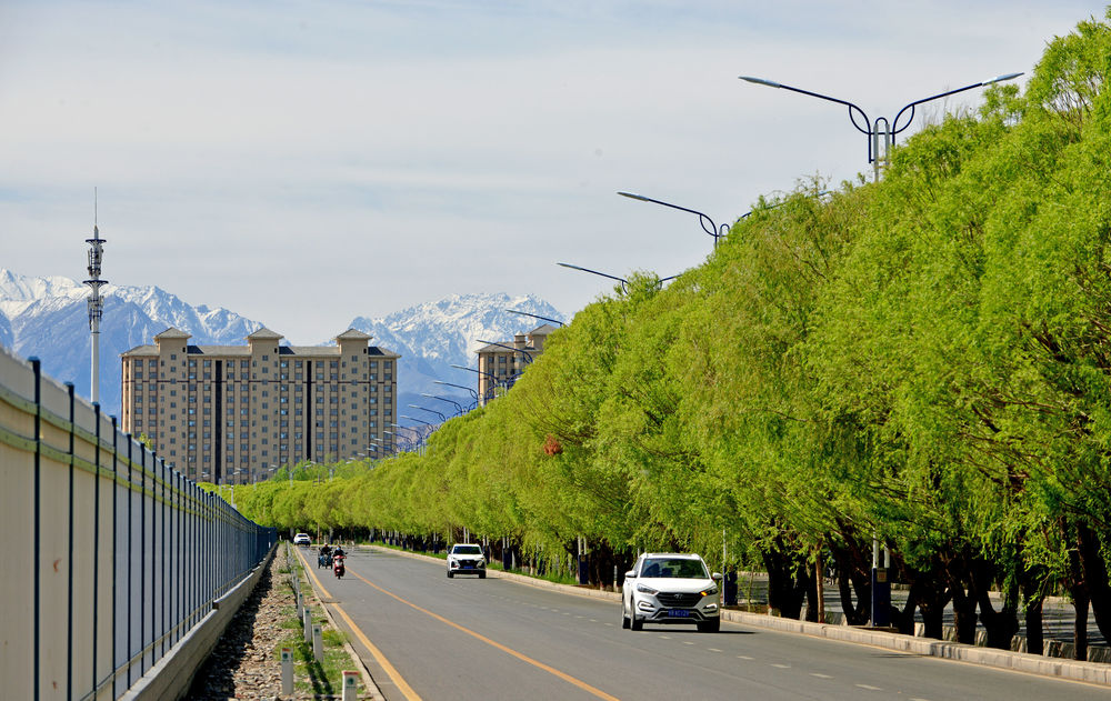 嘉峪关市钢城路 李巍 摄