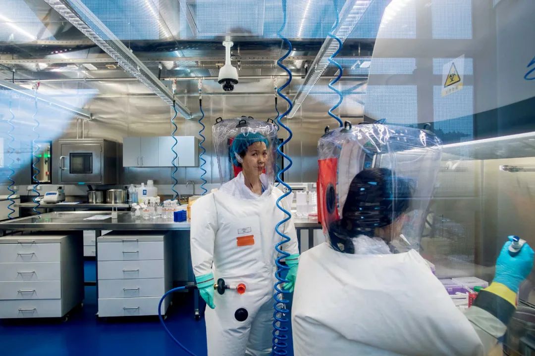 图 2017 年,武汉p4实验室,石正丽与工作人员正在进行试验.