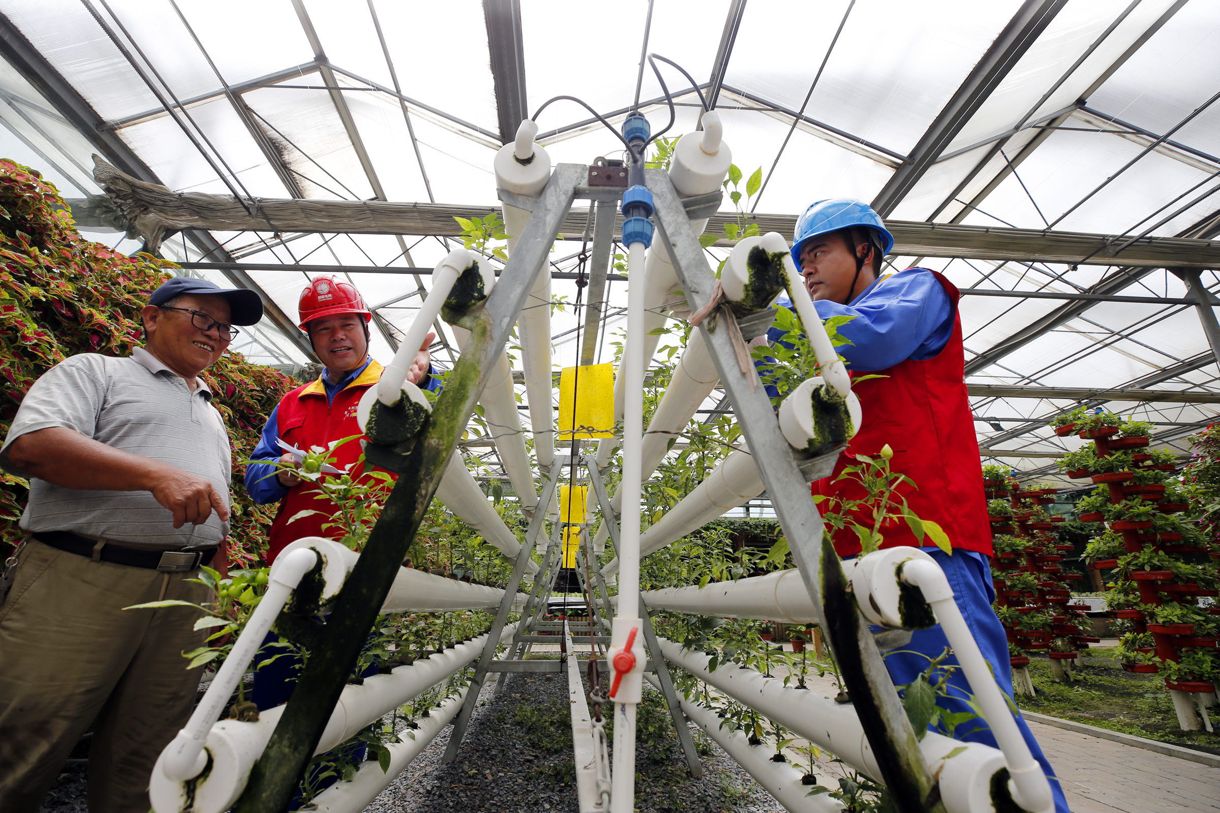 宁波首个现代都市型碳中和综合示范区建设今在湾底村启动