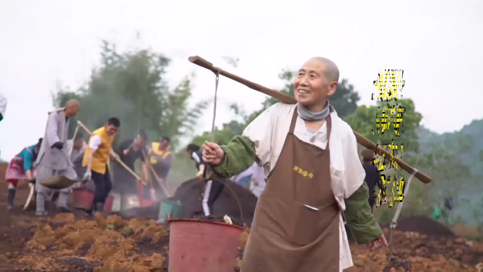 最美农禅：寺院种花生，随手一拍都是大片