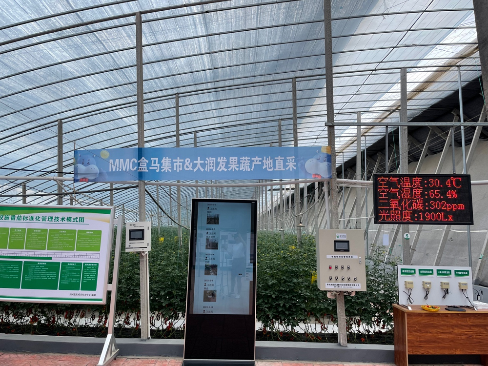 (田柳镇现代农业创新创业园区大棚内景)