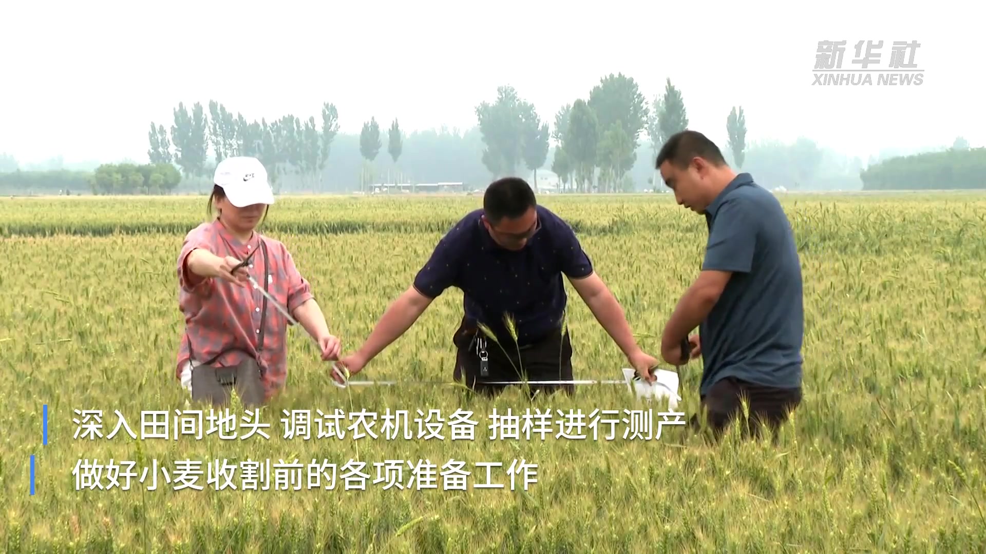 河北易县：农技人员深入田间地头保丰收