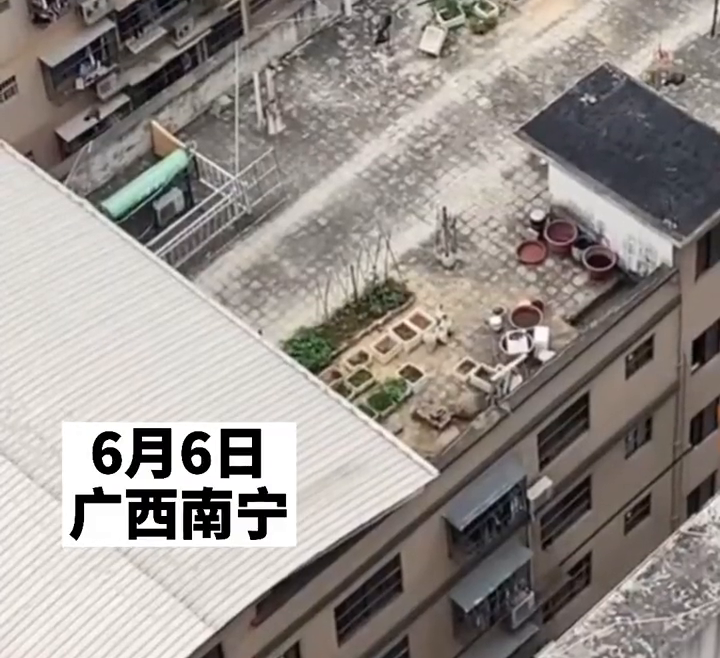 自律的人有多可怕!男子楼顶跑步将地面磨平,踩出一条显眼跑道