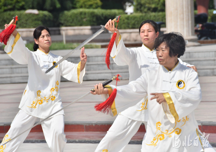 河北永年太极拳图片