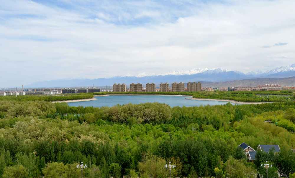 依山傍水、绿荫环绕的嘉峪关市南市区 李巍 摄