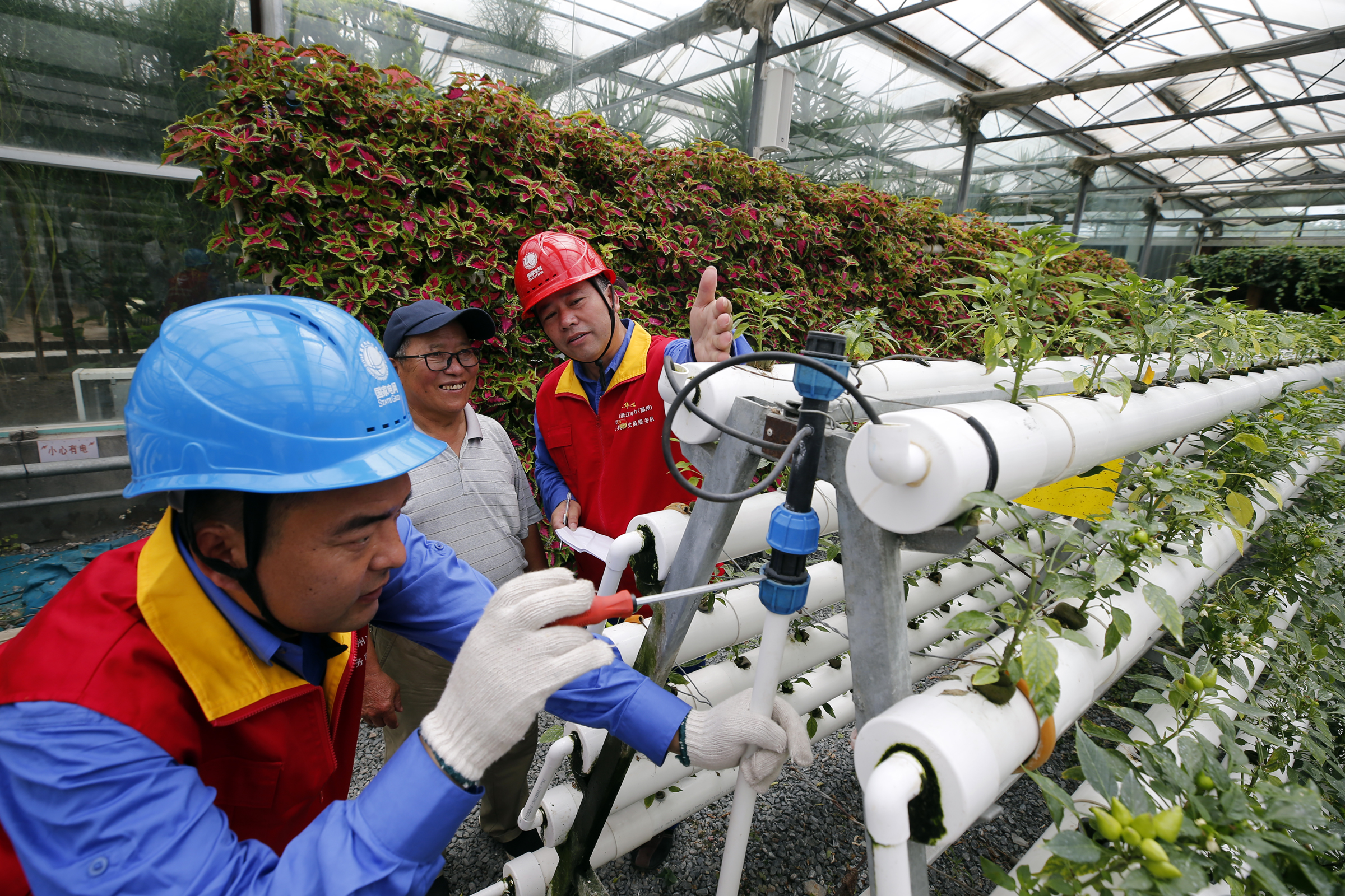 宁波首个现代都市型碳中和综合示范区建设今在湾底村启动