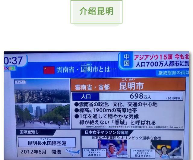 西方主流媒体集体围观 大象去哪儿 这波报道和评论都相当 稳 凤凰网