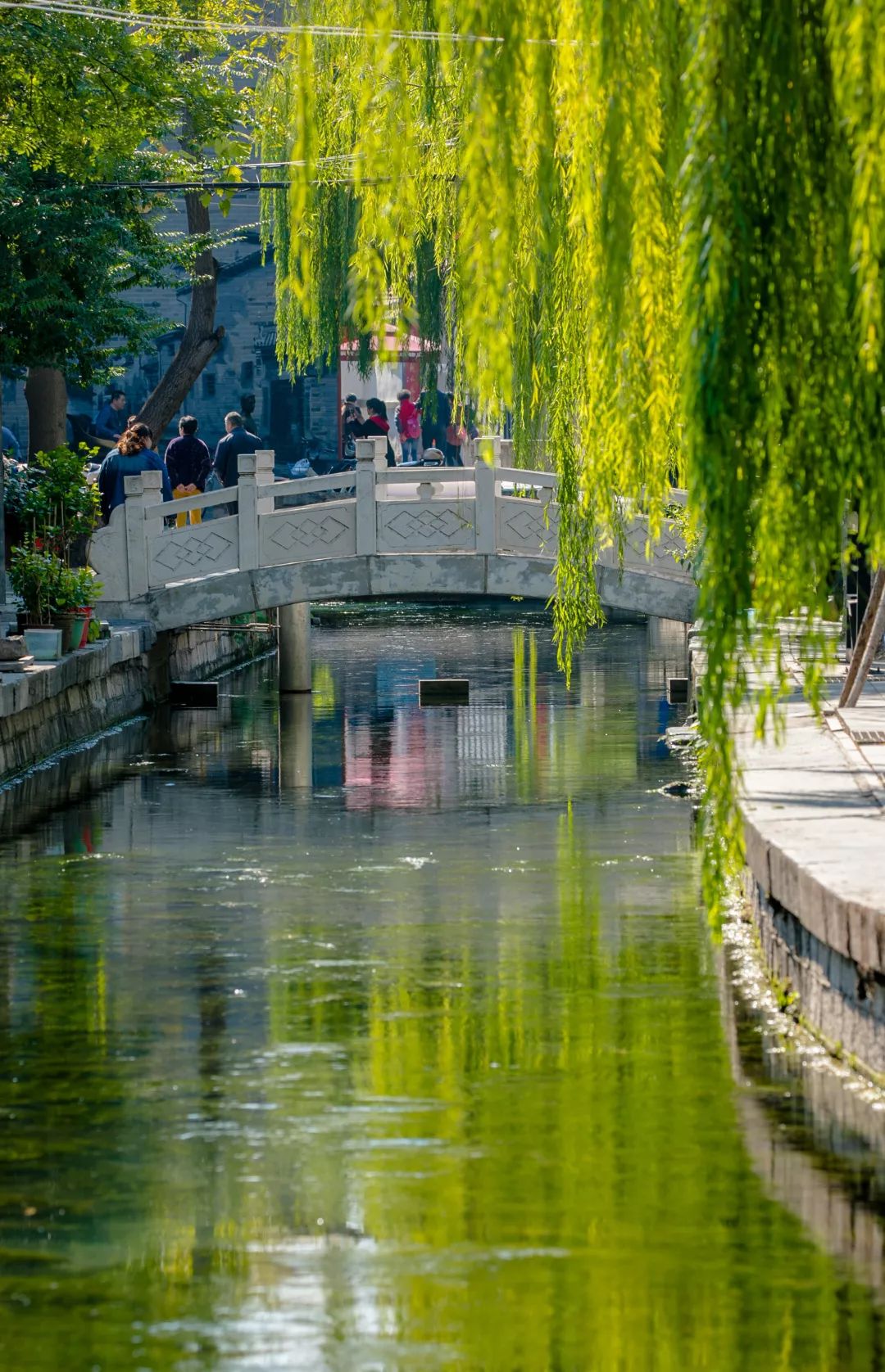图/ 济南 家家泉水 户户杨柳
