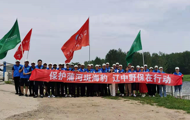 沈阳市辽中区：生态宜居 引来斑海豹作客