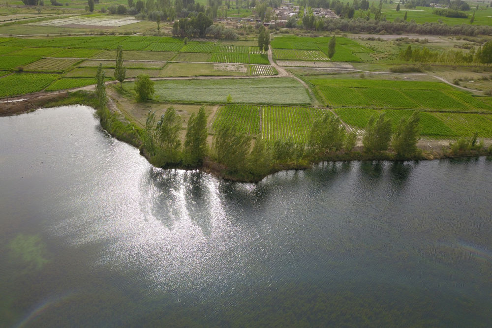 西北"沙城"变"水乡" 百姓临水而居宛如江南