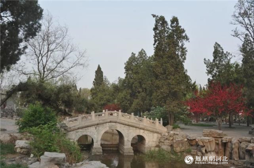 图1：来自古莲花池