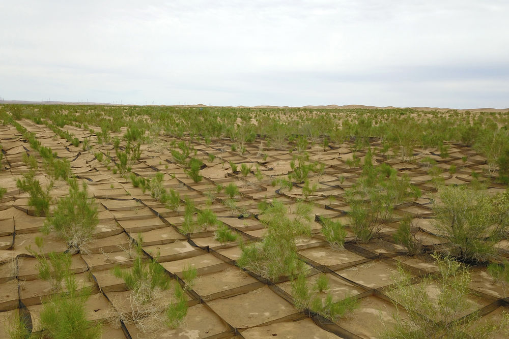 这是6月16日拍摄的临泽县北部干旱荒漠沙化土地封禁保护区（无人机照片）新华社记者 范培珅 摄