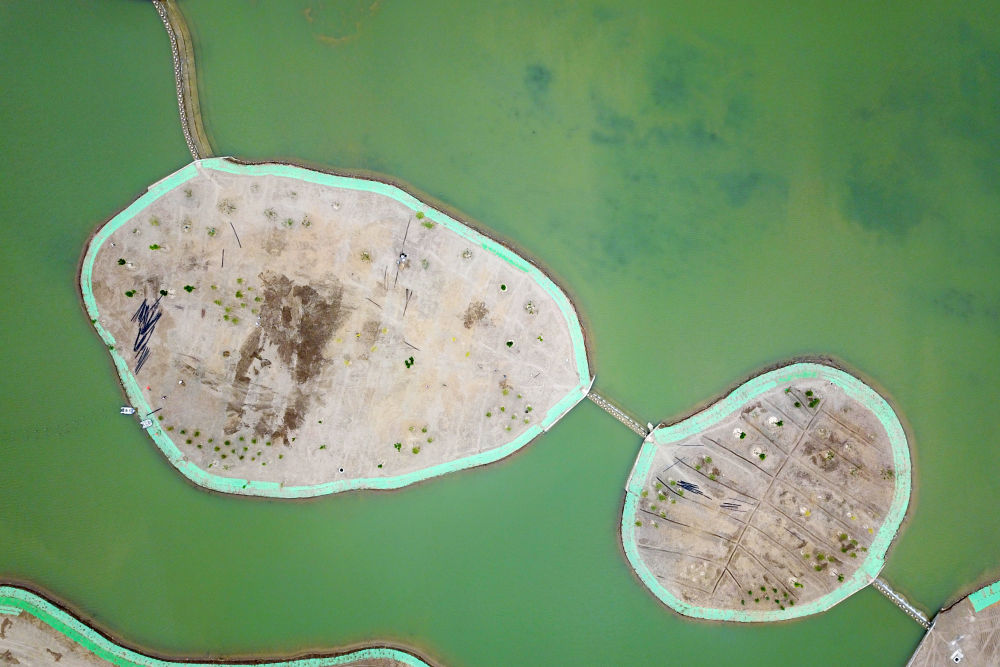 这是6月10日拍摄的临泽县临平路乡村振兴带水系连通建设现场（无人机照片）新华社记者 范培珅 摄