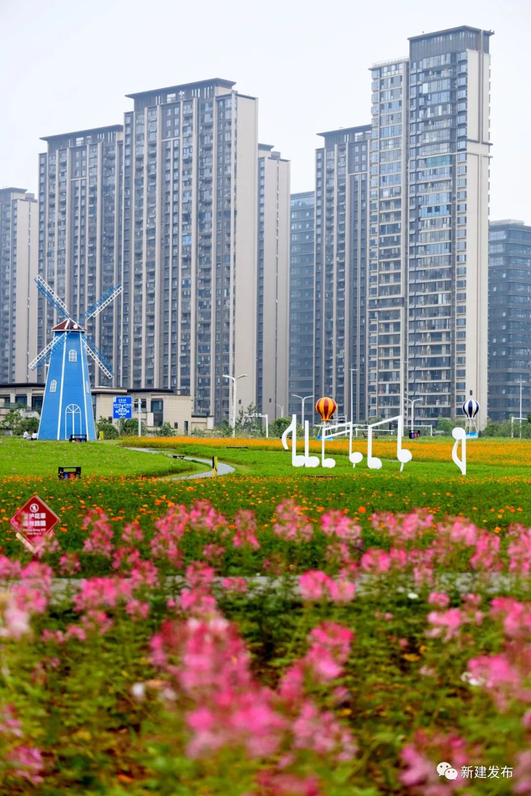 南昌新建区办好家门口实事打造高品质花海乐园