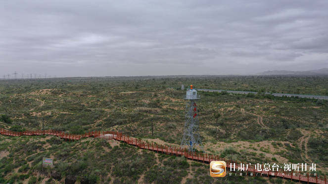 40年沙漠变绿洲 "六老汉"三代人用坚守筑"绿色长城"