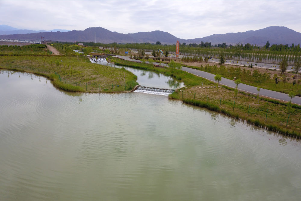 这是6月16日在临泽县拍摄的水系连通项目中打通的梨园河东河水系（无人机照片）新华社记者 范培珅 摄