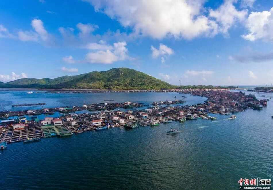 图源:中新网海南频道本次活动由陵水黎族自治县人民政府主办,新村镇