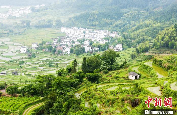 梯田与远山、粉墙黛瓦的村落相互辉映，构成一幅美丽的田园水墨画。　胡敦煌 摄